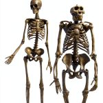 Triangle Square Teen Anthropology Kindle eBook 256‑Page Nonfiction-0