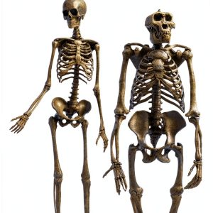 Triangle Square Teen Anthropology Kindle eBook 256‑Page Nonfiction-0