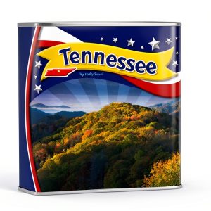 StateBasics US State History eBook by The Child's World Preschool-0
