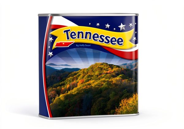 StateBasics US State History eBook by The Child's World Preschool-0