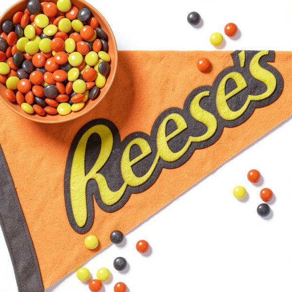 Reese's Pieces Peanut Butter Candy Bulk Case 12 Pack of 4 Ounce Boxes-6